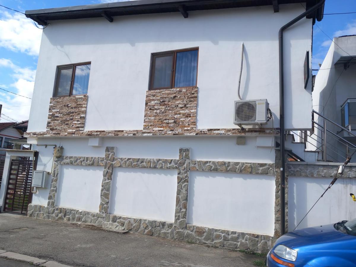 Vila Davison Târgu Jiu Exterior photo
